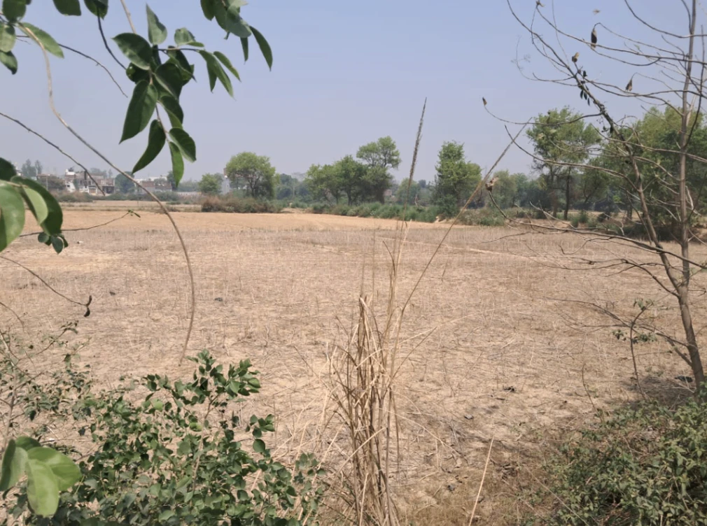 Kharar, Punjab 140301, India