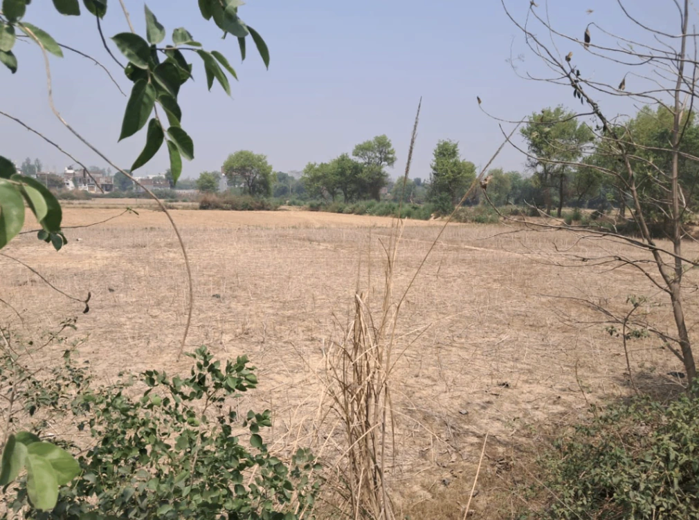 Kharar, Punjab 140301, India