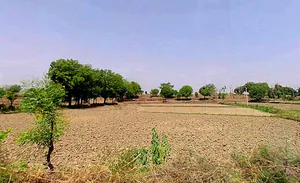 Seethal, Rajasthan 314403, India preview 2