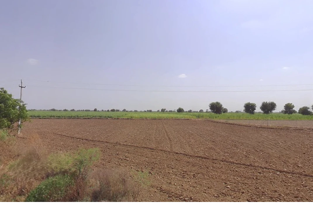 Bawani Khera, Haryana 127032, India