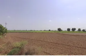 Bawani Khera, Haryana 127032, India preview 3