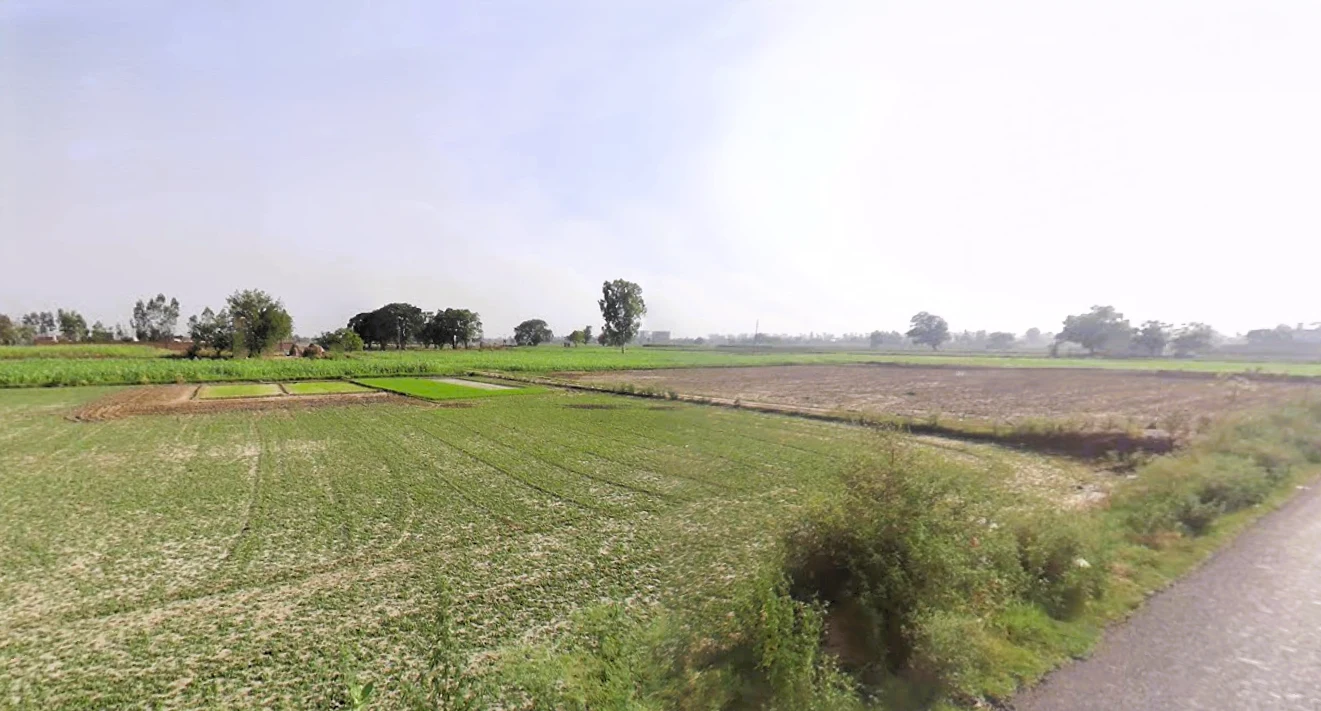 Barsat, Haryana 132114, India