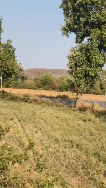 5PR5+HWG, Ujjain, Ratadiya, Madhya Pradesh 456006, India preview 3