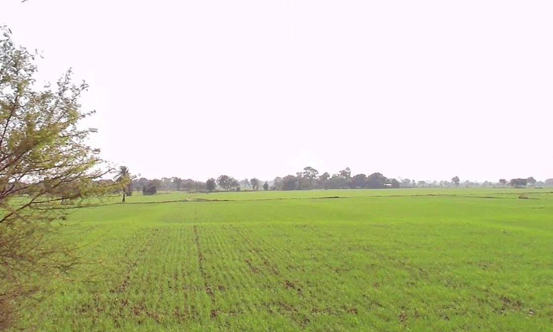 Amla, Madhya Pradesh 455332, India