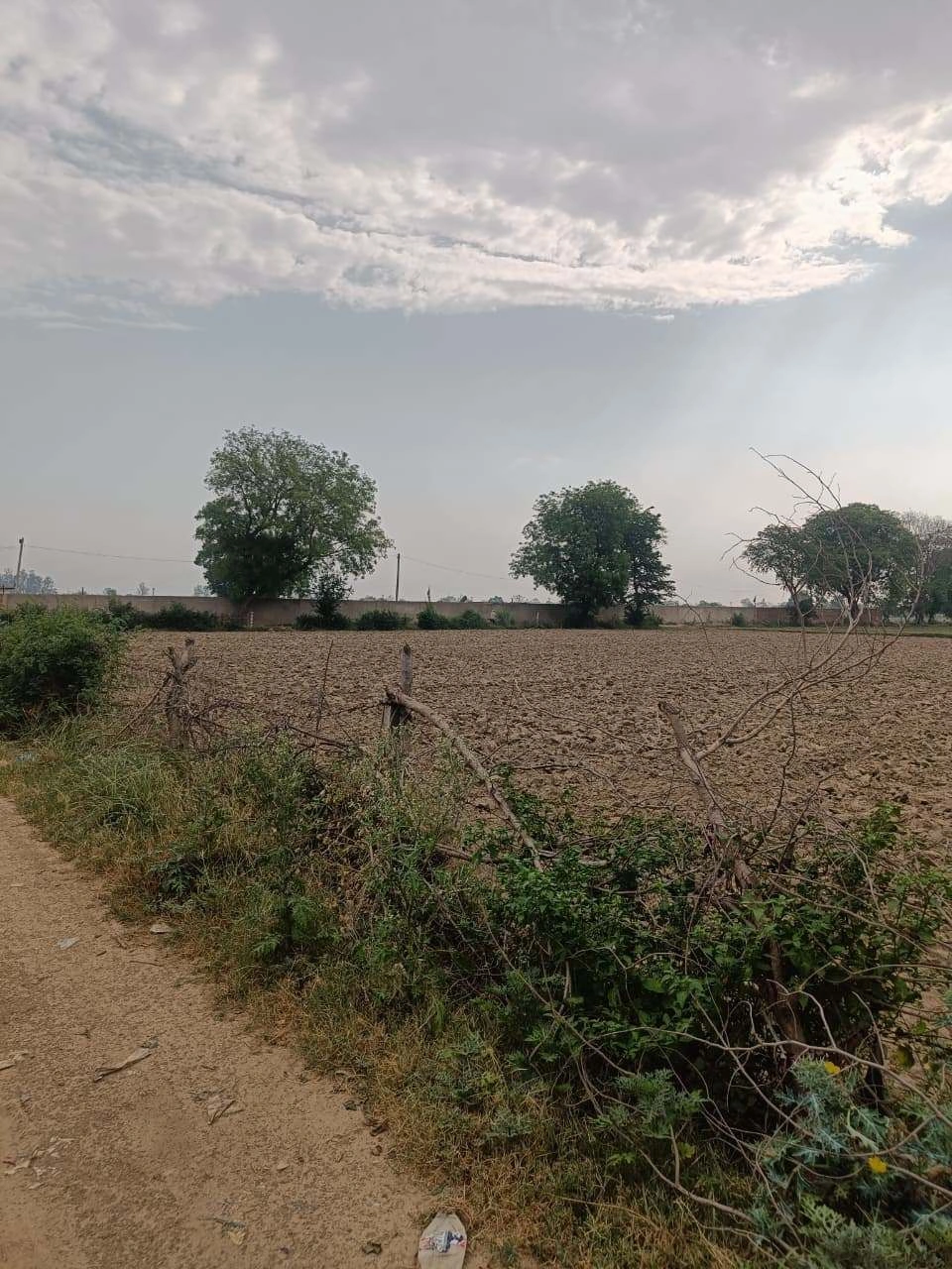 Chhata, Uttar Pradesh 281401, India preview 2