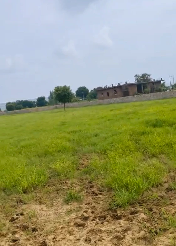 4FJG+9X Parli, Sawai Madhopur, Rajasthan, India