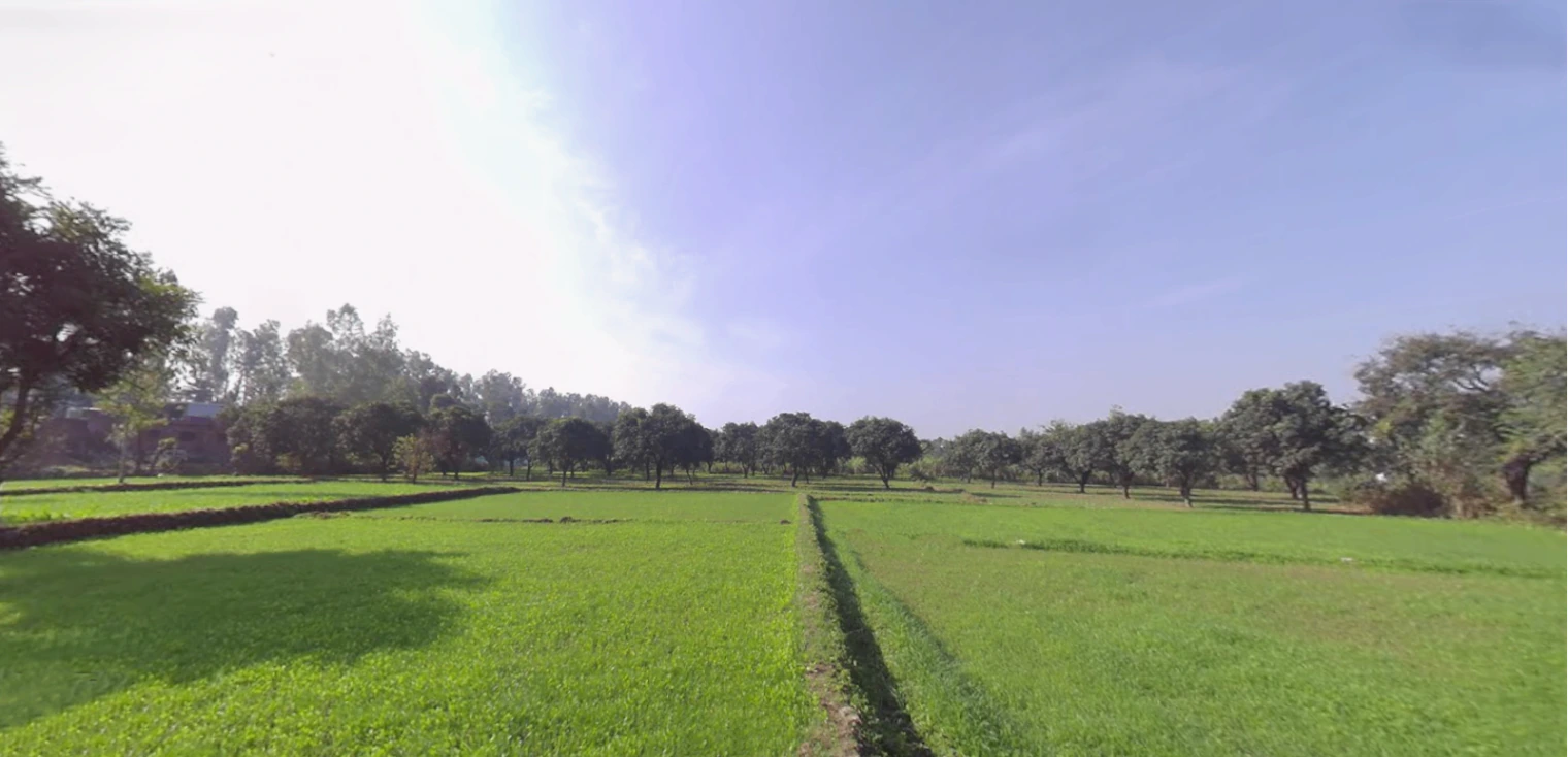 Dharmawala, Herbertpur, Uttarakhand 248142, India