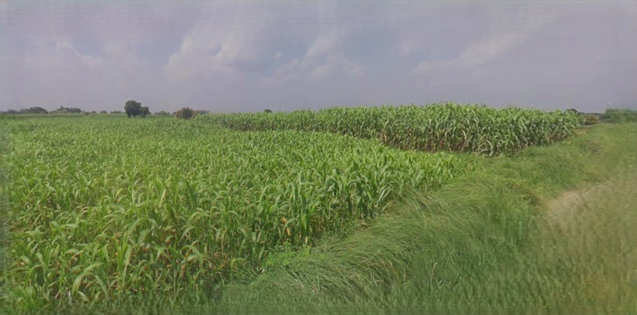 Sri Ganganagar, Rajasthan, India