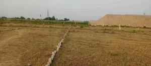 Naubatpur, Bihar 801109, India preview 2