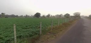 9MFJ+F4, Aluva, Gujarat 382650, India preview 2