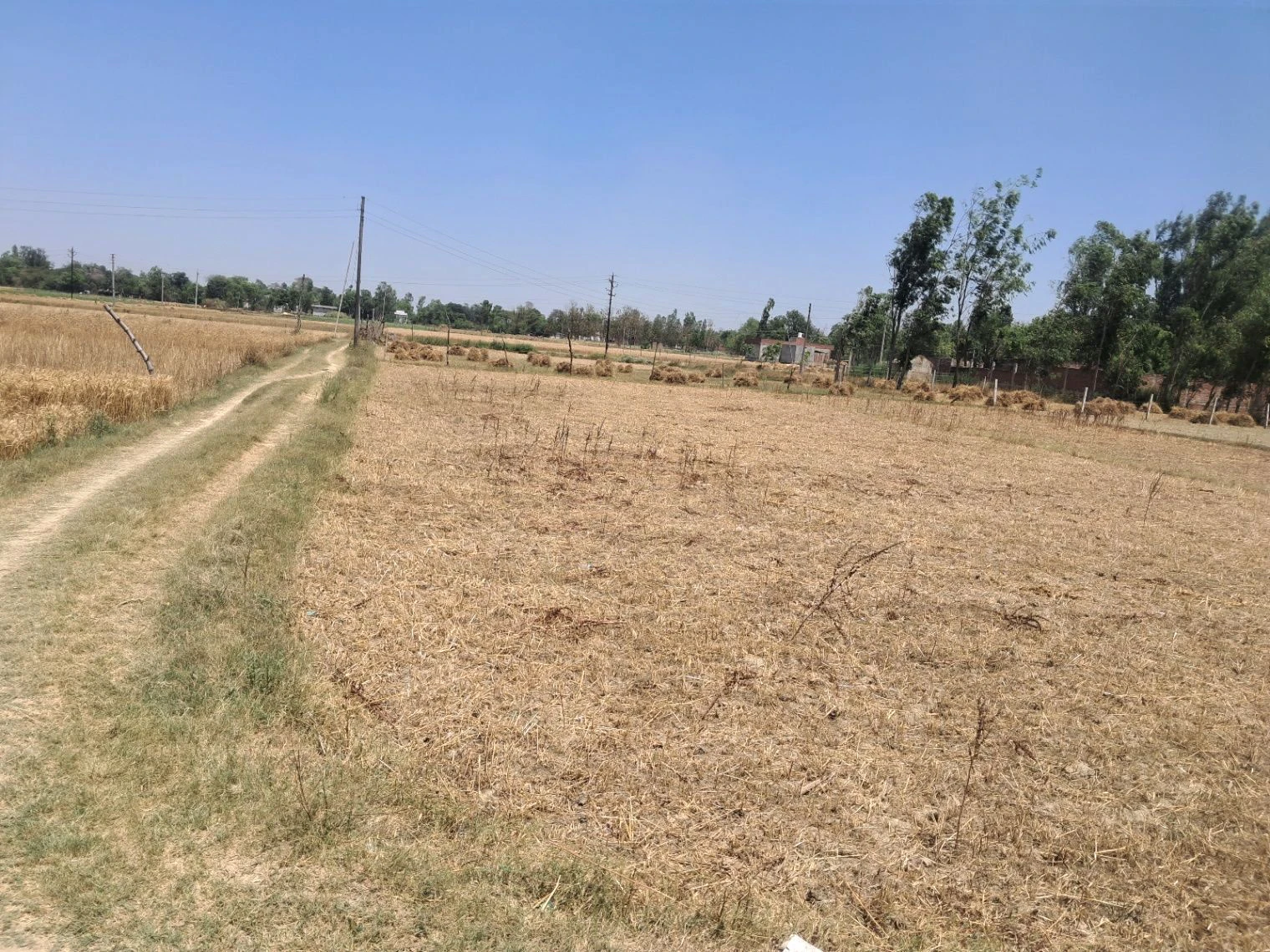PX3W+XX Majnawa, Uttar Pradesh, India
