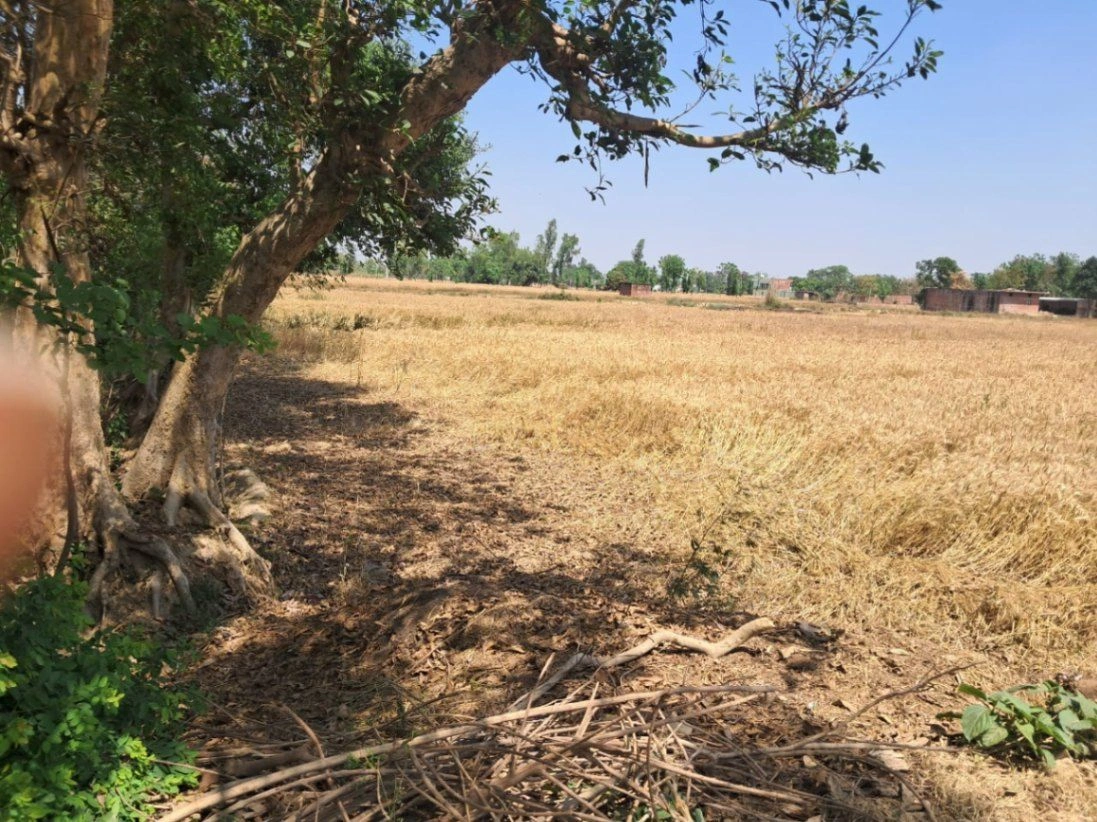 P6X3+RJQ, Darshan Nagar - Bharat Kund Marg, Mirzapur Mafi, Uttar Pradesh 224135, India