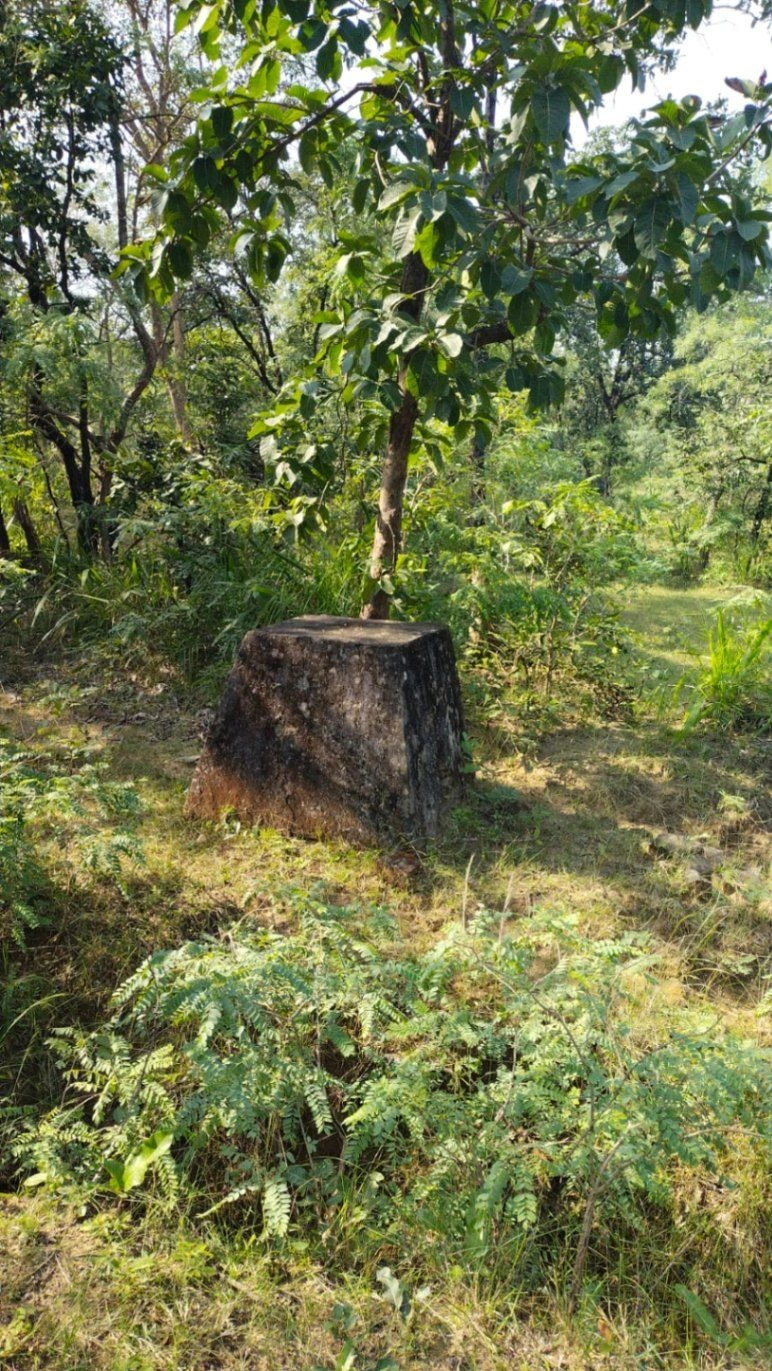 Kamti, Madhya Pradesh 487551, India