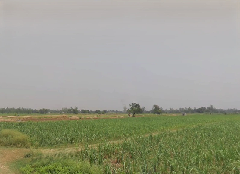 Hastinapur, Uttar Pradesh 250404, India