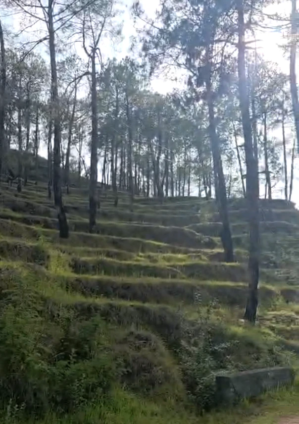 Seema Dwar, Dehradun, Uttarakhand, India