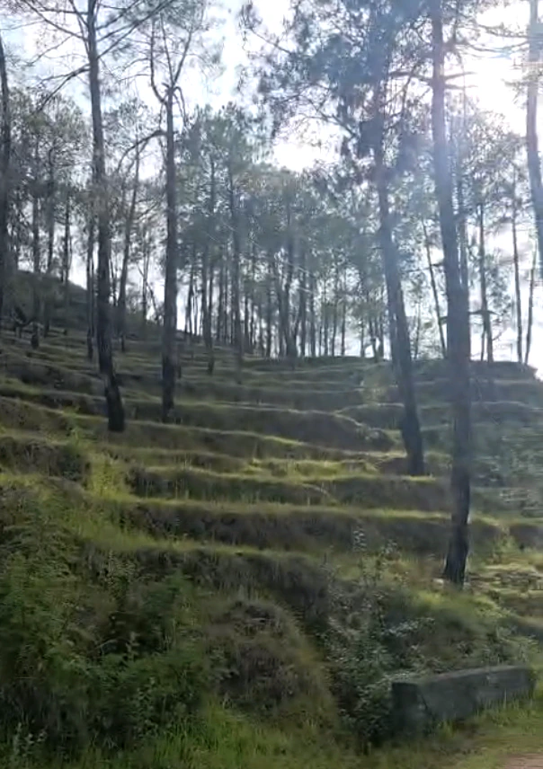 Seema Dwar, Dehradun, Uttarakhand, India