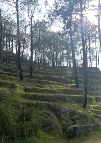 Seema Dwar, Dehradun, Uttarakhand, India preview 3