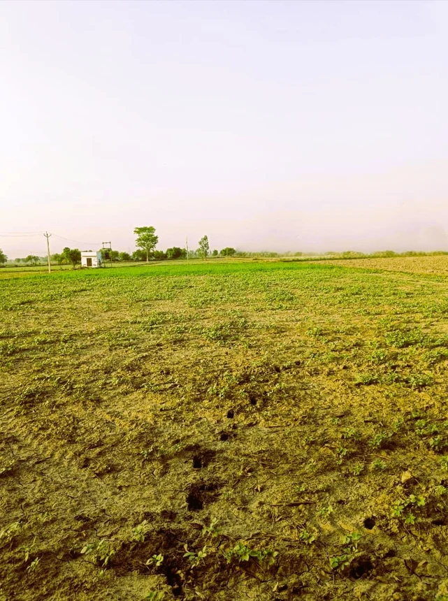 HWF5+XG Goonpari, Rajasthan, India