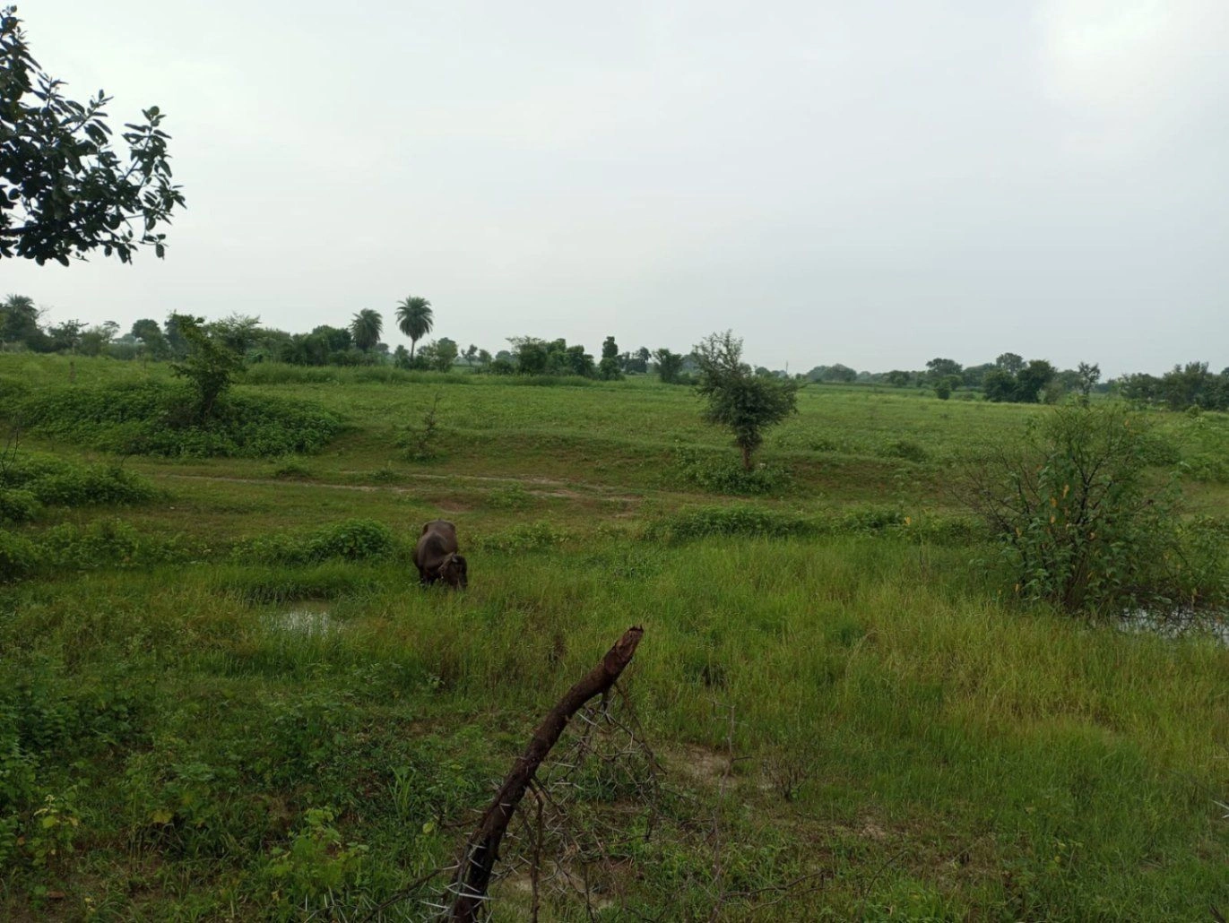 Goraiya, Satna, Madhya Pradesh, India preview 2