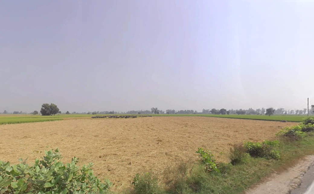 Bareta, Punjab 151501, India