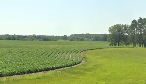 Gohinda, Madhya Pradesh 475220, India preview 3