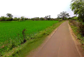 Bhurki, Chhattisgarh 491335, India preview 3