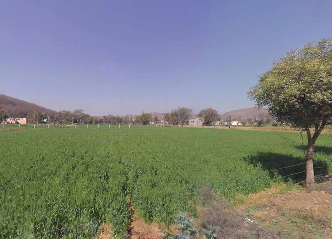 9P7H+55C, Bharkol, Rajasthan 321633, India