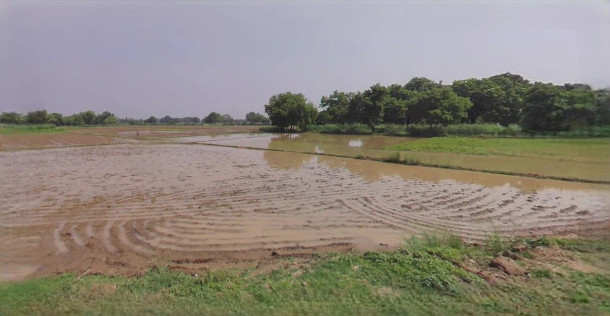 Budaun, Uttar Pradesh 243601, India