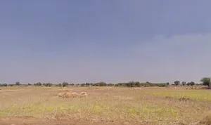 63FC+3C2, Baroda, Dantri, Rajasthan 305412, India preview 2