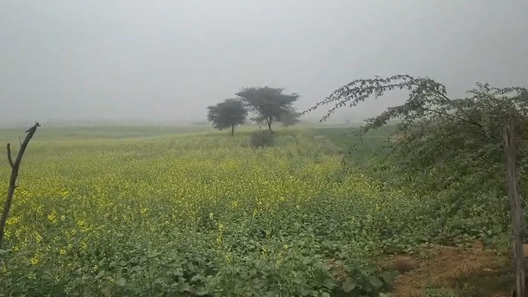 62JQ+V5 Bhojewala, Rajasthan, India