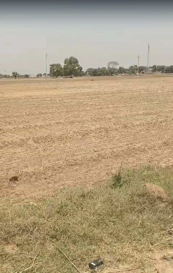 3VCM+R2 Ubaraka, Rajasthan, India