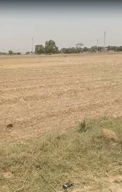 3VCM+R2 Ubaraka, Rajasthan, India preview 3