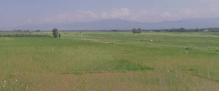 Sahaspur, Uttarakhand 248197, India