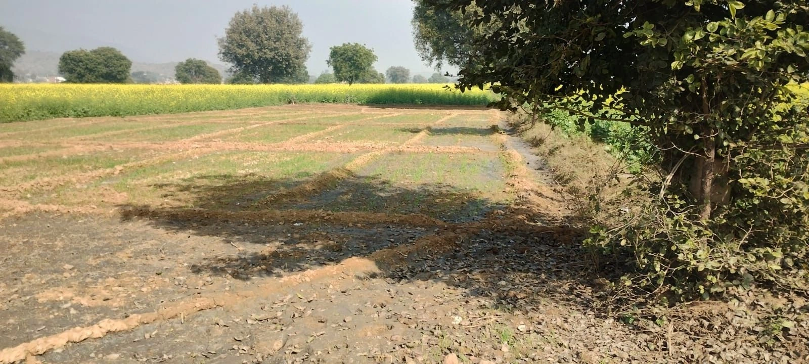 Kishanpur, Rajasthan 301001, India