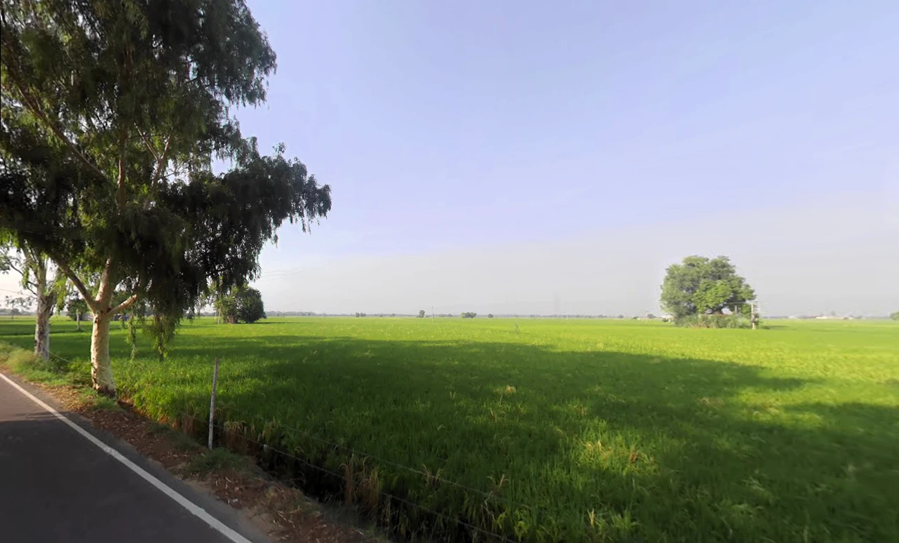 Mallekan, Haryana 125055, India