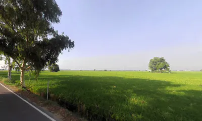 Mallekan, Haryana 125055, India preview 3