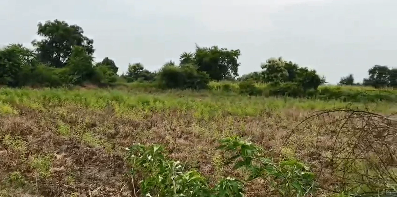 FQ2W+F97, Vikarabad, Barwad, Telangana 501106, India