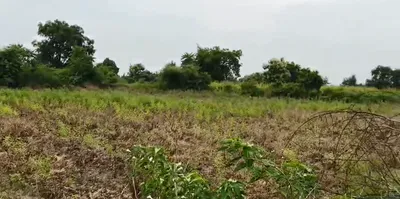 FQ2W+F97, Vikarabad, Barwad, Telangana 501106, India preview 3
