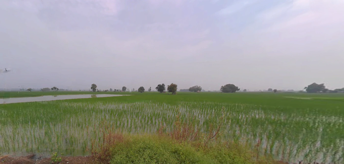Gharaunda, Haryana 132114, India