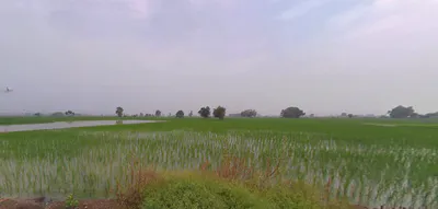 Gharaunda, Haryana 132114, India preview 2