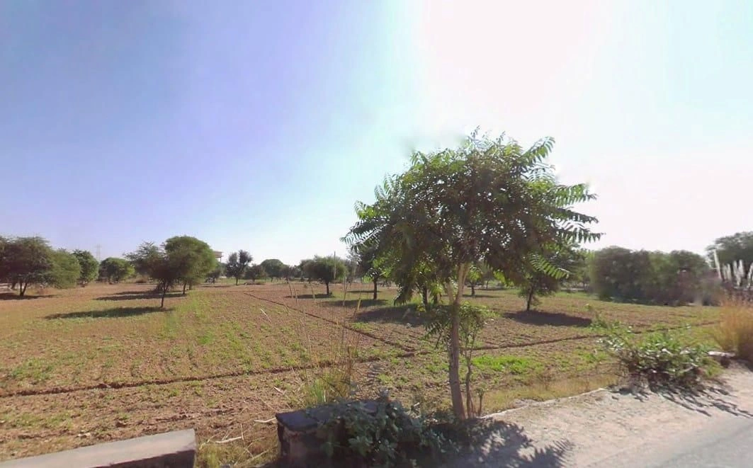 Bilonchi, Rajasthan 303805, India