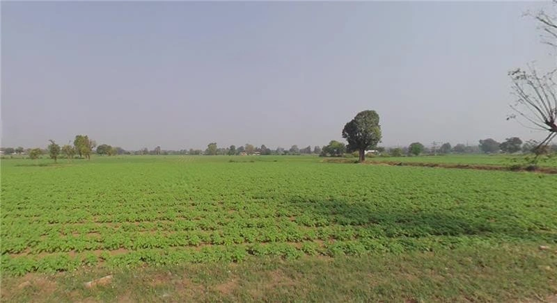 Haripura, Gujarat, India