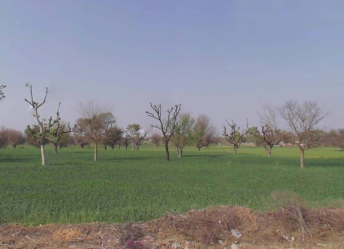 Danta Ramgarh - Ringus Rd, Rajasthan, India