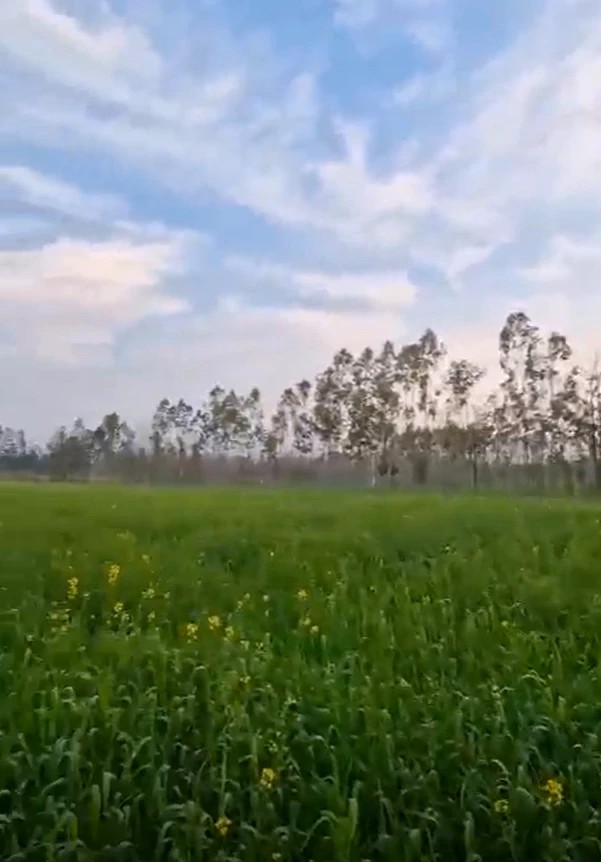 Ganapur, Lakhimpur Kheri, Uttar Pradesh, India
