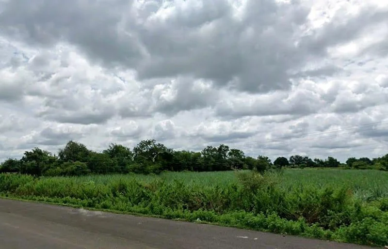 RWFG+JRV, Sastapur, Karnataka, India preview 2