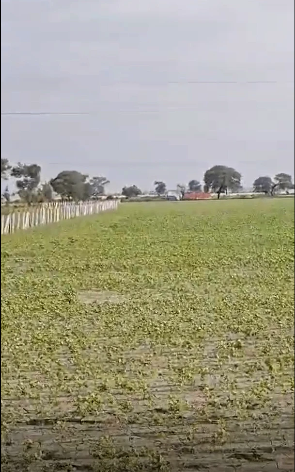 Shahna, Indore, Madhya Pradesh 453551, India