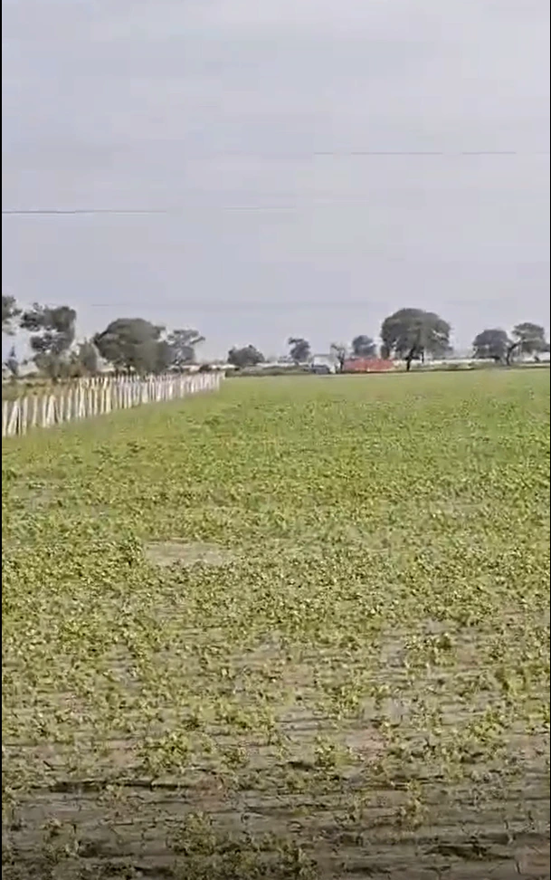 Shahna, Indore, Madhya Pradesh 453551, India