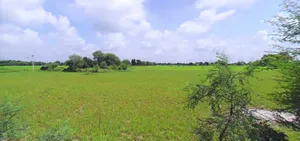 Bijnor, Uttar Pradesh 246701, India preview 2