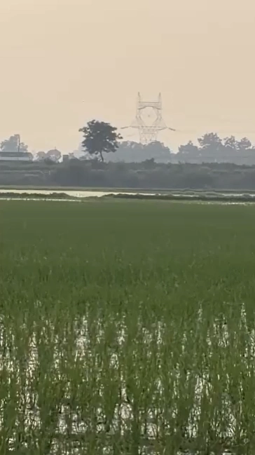 FH9F+J54, Jhajjar, Subana, Haryana 124109, India - Photo 3