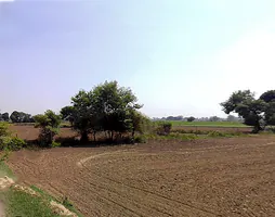 Surir, Uttar Pradesh 281205, India preview 3